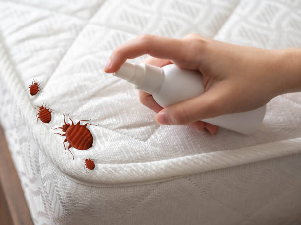 Best Bed Bug Extermination  in Enlow, PA